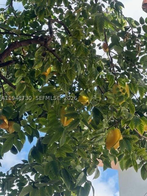 5502 SW 162nd Pl, Miami FL - photo 22 of 72