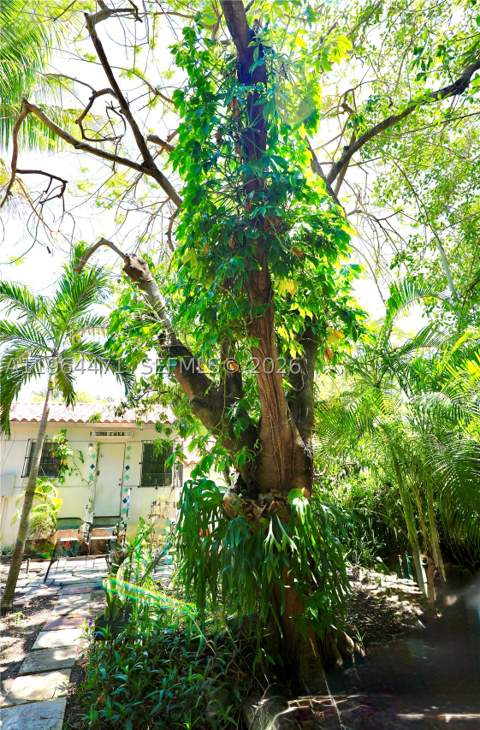 655 NE 82nd St, Miami FL - photo 14 of 15