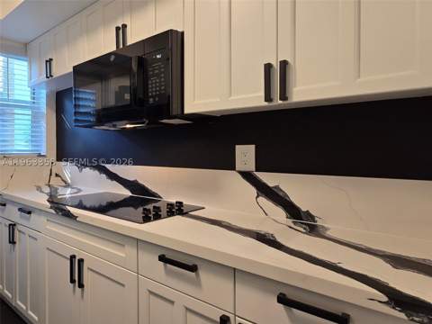1021 Michigan Ave 9, Miami Beach FL - photo 11 of 33