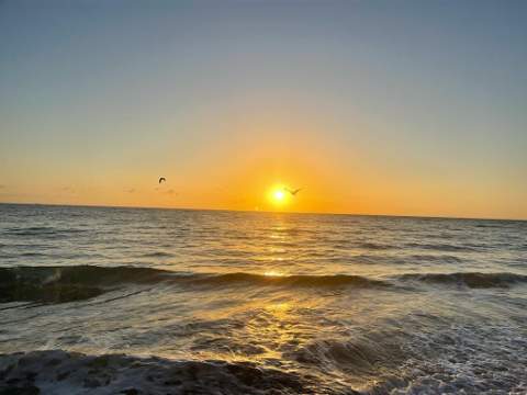 19201 Collins Avenue 337, Sunny Isles Beach FL - photo 22 of 28
