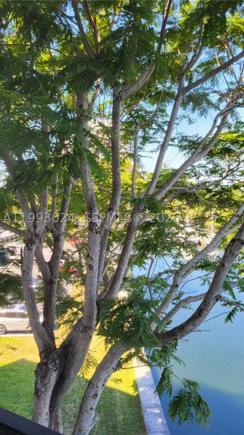 3401 N Country Club Dr 402, Aventura FL - photo 7 of 42