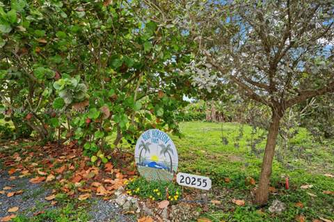 20255 SW 154th Ave, Miami FL - photo 6 of 52