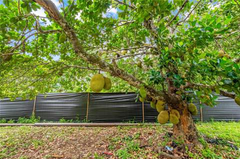 26105 SW 193rd Ave, Homestead FL - photo 19 of 31
