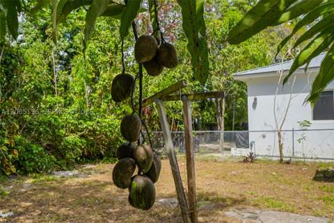 3637 Frow Ave, Miami FL - photo 8 of 17