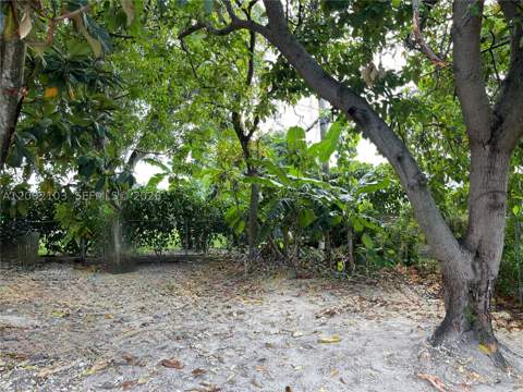 10820 NE 5th Ave, Miami FL - photo 16 of 35