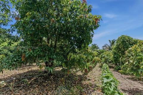 25800 SW 199th Ave, Homestead FL - photo 24 of 37