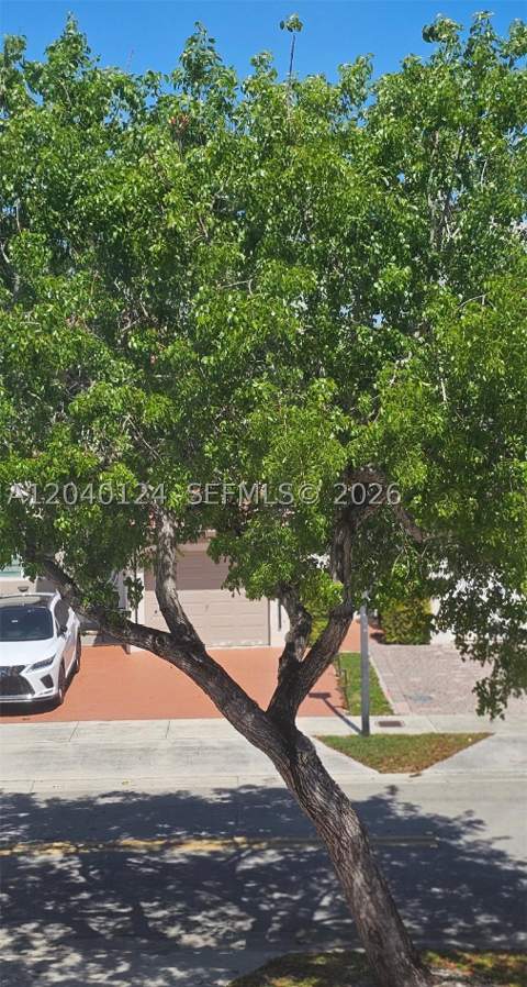 2410 SW 153rd Pass, Miami FL - photo 17 of 21