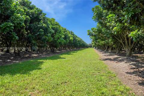 33300 SW 202nd Ave, Homestead FL - photo 10 of 23