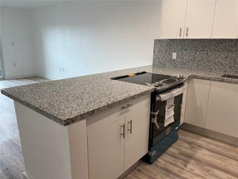 860 NE 78th St 303, Miami FL - photo 7 of 47