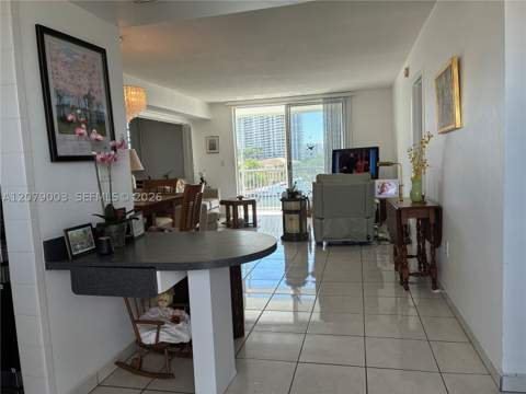 2980 E Point East Dr D608, Aventura FL - photo 13 of 28
