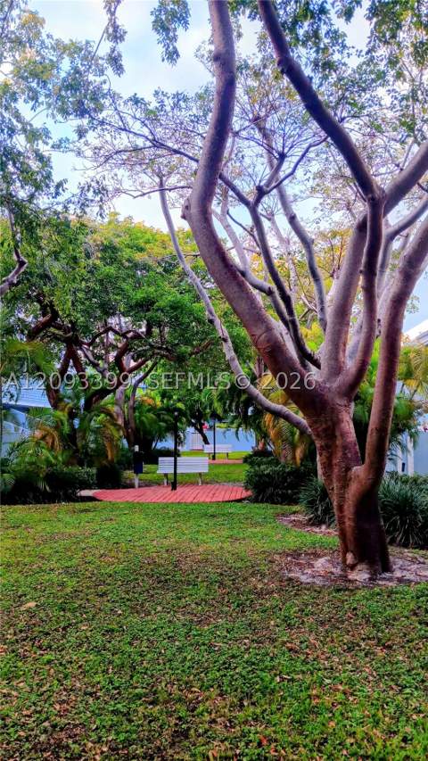 798 Crandon Blvd 55-B, Key Biscayne FL - photo 11 of 15