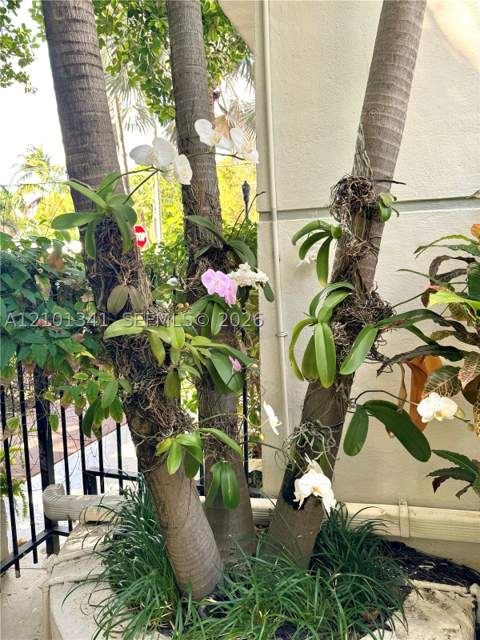 349 Meridian Ave B202, Miami Beach FL - photo 8 of 24