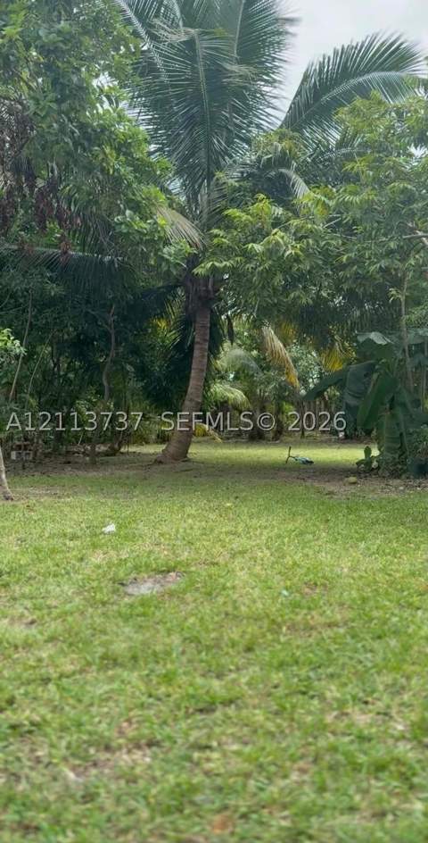 27025 SW 143 Pl, Miami FL - photo 8 of 12