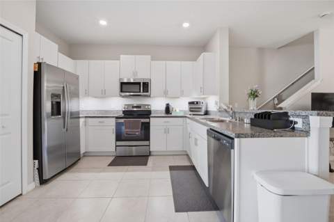 4459 Globe Thistle Drive, Tampa FL - photo 8 of 56