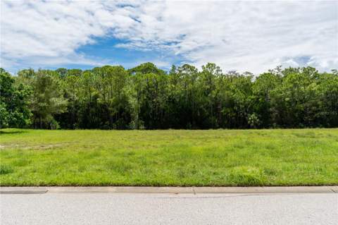 4050 Jewfish Drive, Hudson FL - photo 13 of 37