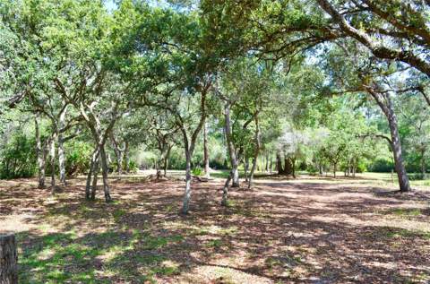 33135 Forest Ridge Road, Deland FL - photo 6 of 6