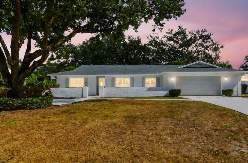 Temple Terrace Hills