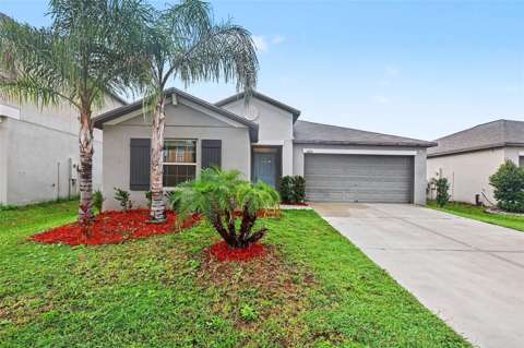 13224 Wildflower Meadow Drive, home for sale in Riverview 33579