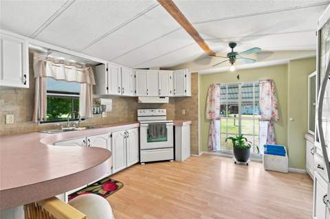 36401 5 Acre Lane, Zephyrhills FL - photo 15 of 35
