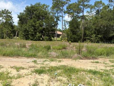 7722 SW 180th Circle, Dunnellon FL - photo 6 of 6