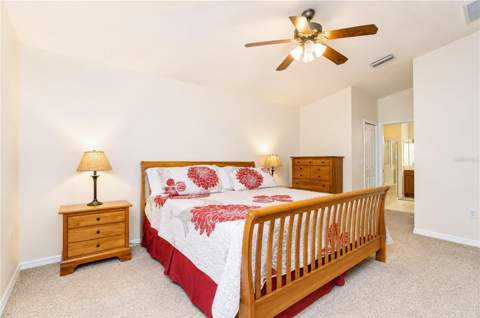 6209 Gannetdale Drive, Lithia FL - photo 14 of 38