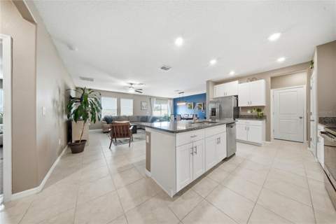 13525 Wild Ginger Street, Riverview FL - photo 8 of 35