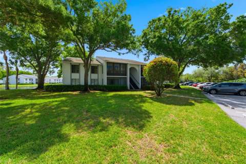 1135 Pine Ridge Circle #A2, Tarpon Springs FL - photo 6 of 64