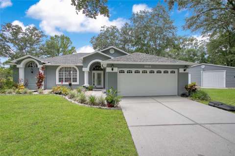 19616 Livingston Avenue, home for sale in Lutz 33559