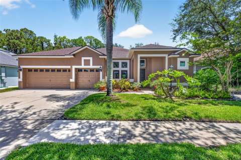 10737 Ayrshire Drive, home for sale in Tampa 33626