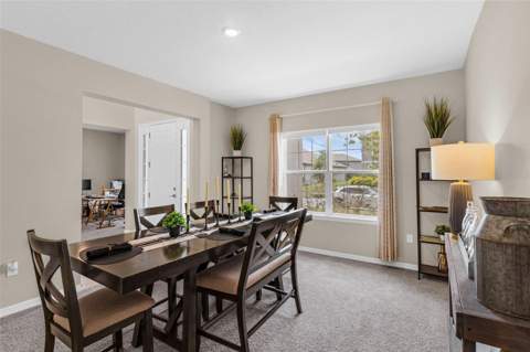 2901 Agostino Terrace, Kissimmee FL - photo 14 of 59