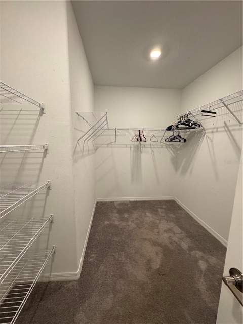 36569 Smithfield Lane, Zephyrhills FL - photo 22 of 30