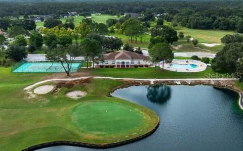 31530 Wild Grape Lane, Brooksville FL - photo 18 of 19