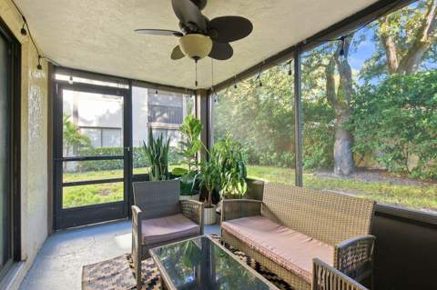511 Mistletoe Court #A, Safety Harbor FL - photo 22 of 34