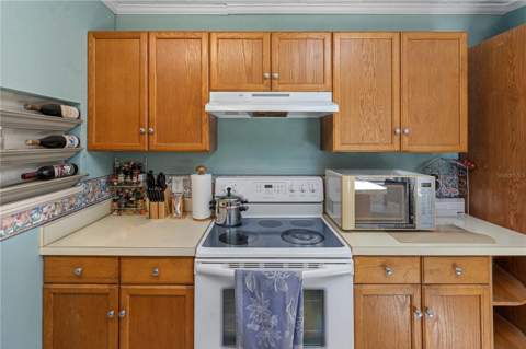 26015 Sackamaxon Drive, Sorrento FL - photo 8 of 28