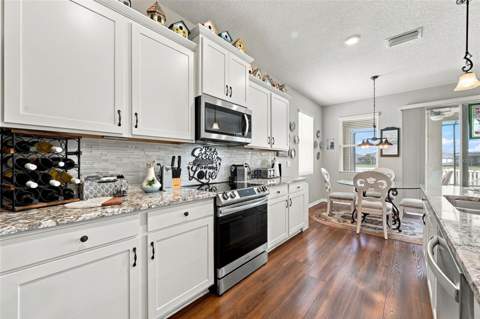 13344 Waterleaf Garden Circle, Riverview FL - photo 10 of 96