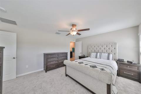 9316 Channing Hill Drive, Ruskin FL - photo 20 of 43