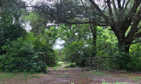 21320 Seneca Hills Road, home for sale in Eustis 32736