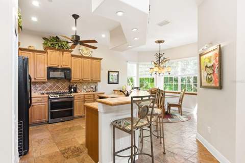 503 Palm Avenue, Palm Harbor FL - photo 19 of 55