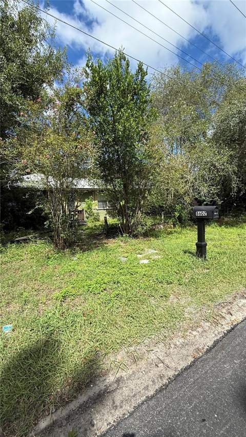 8602 N Rome Avenue, Tampa FL - photo 6 of 6