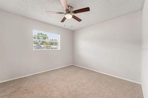 8308 Oleander Lane, Tampa FL - photo 11 of 20