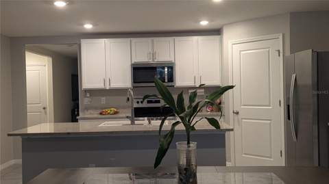 3719 Capri Coast Drive, Plant City FL - photo 6 of 46