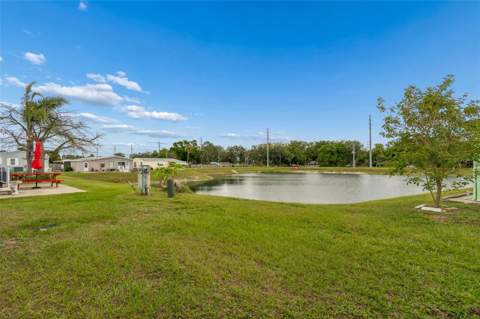 37644 Pinata Avenue, Zephyrhills FL - photo 8 of 79