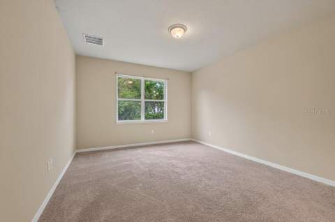 11601 Tangle Stone Drive, Gibsonton FL - photo 23 of 54