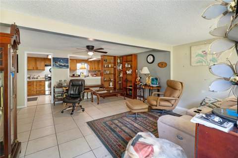 270 W McClendon Street, Lady Lake FL - photo 6 of 46