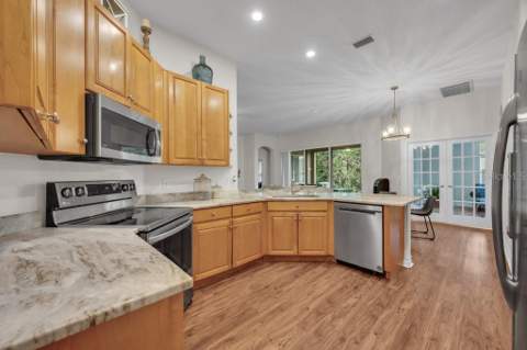 16135 Bridgedale Drive, Lithia FL - photo 10 of 40
