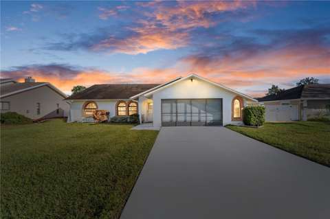 8133 Wysocki Court, pool for sale in Spring Hill