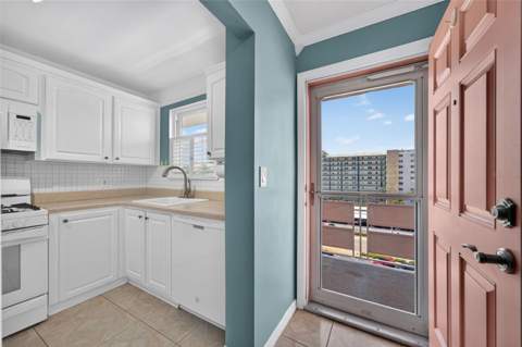 6025 Shore Boulevard #602, Gulfport FL - photo 9 of 96