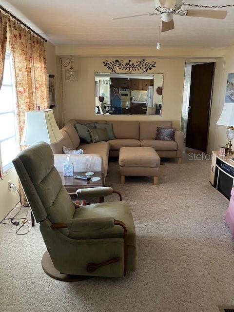 3405 Lanark Drive, Holiday FL - photo 14 of 33