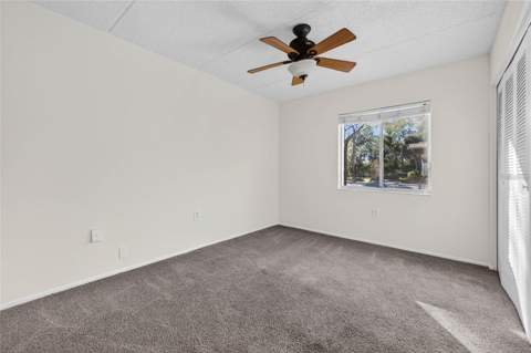 219 Palmetto Court #219, Oldsmar FL - photo 7 of 13