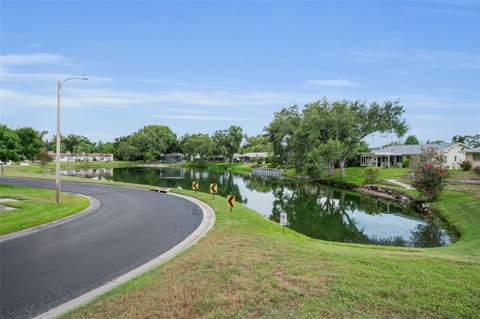 3097 Mission Grove Drive, Palm Harbor FL - photo 6 of 6